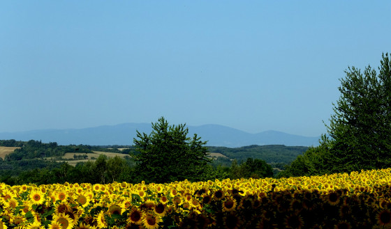 Vallée de la Gère