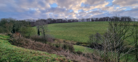Vall&eacute;e de la Magr&eacute;e - vue depuis Tavier