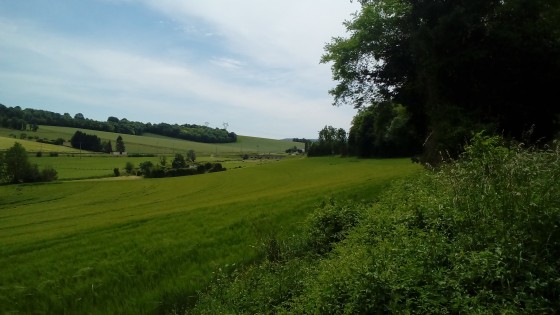 Vallée de la Mauldre