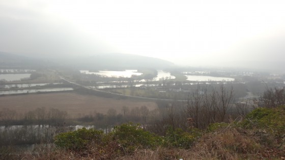 Vallée de la Moselle