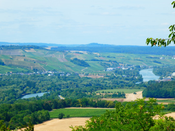 Vallée de la Moselle