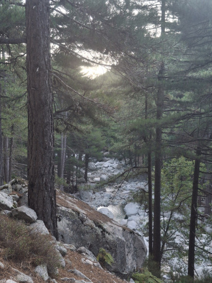 Vall&eacute;e de la Restonica