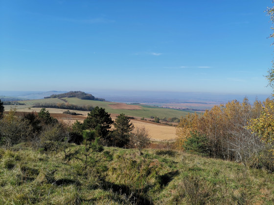 Vallée de la Seille