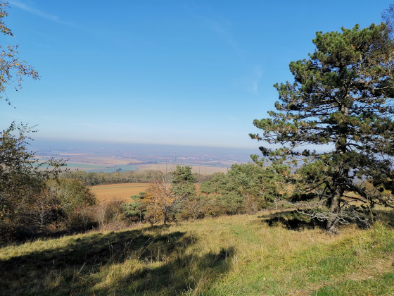 Vallée de la Seille