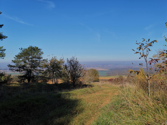 Vallée de la Seille