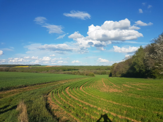 vallée de la sueure