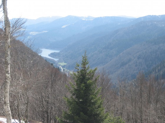 Vallée de la Thur
