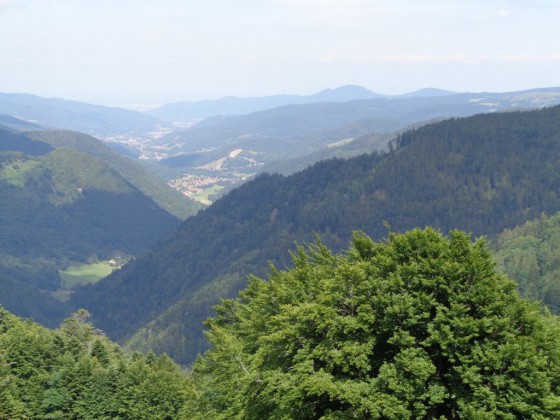 Vallée de Mittlach