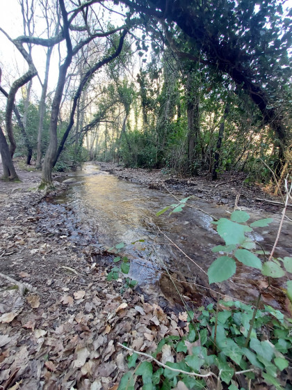 Vallée de Saint Pons