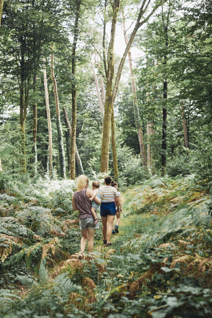 Vallée du Blavet