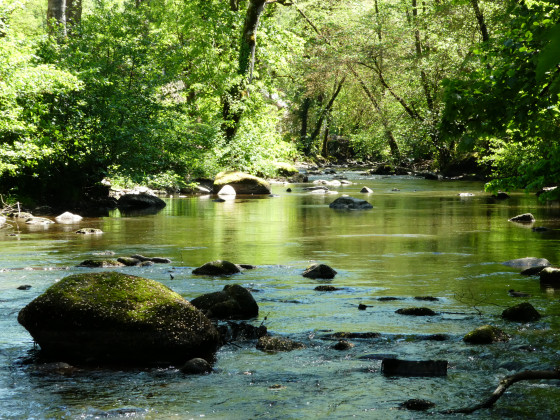 vallée du Cousin