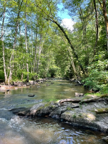 Vall&eacute;e du Cousin