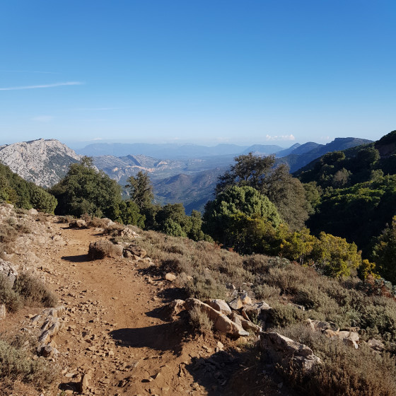 Vallée du Flumineddu