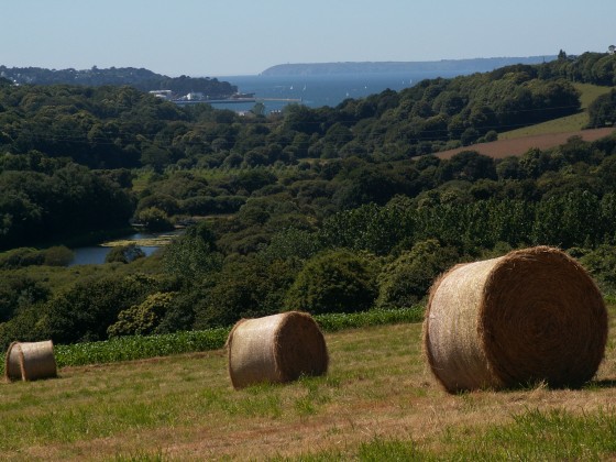 Vall&eacute;e du N&eacute;vet vers l'Ouest
