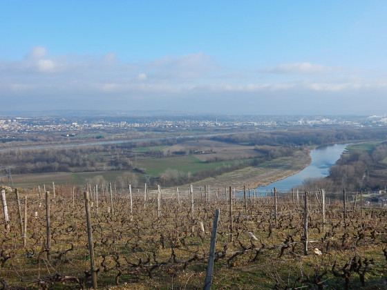 Vall&eacute;e du Rh&ocirc;ne
