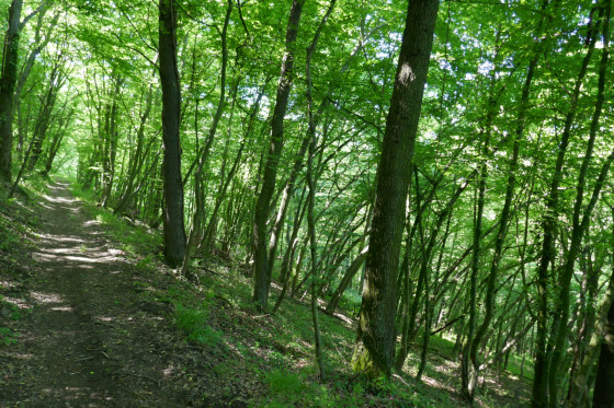 Vall&eacute;e du Rossand