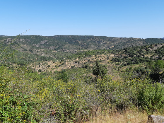 Vallée du Torgan
