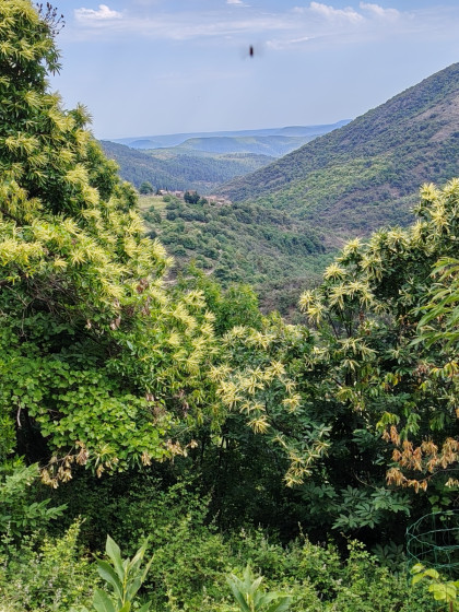 Vallée