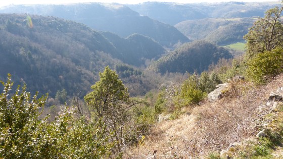 Vallées de la Daronne et du Doux