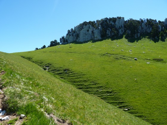 Vallon avant le col