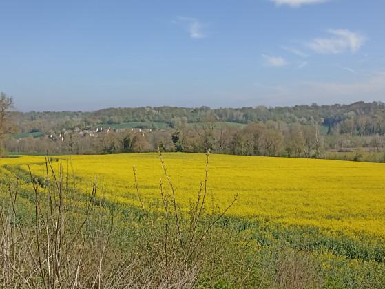 Vallon de Béthancourt en Valois