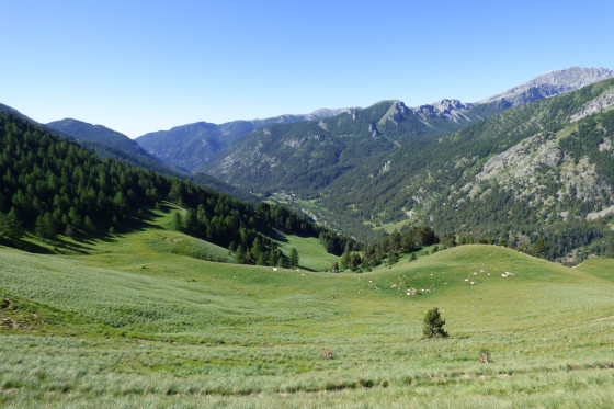 Vallon de Casterino