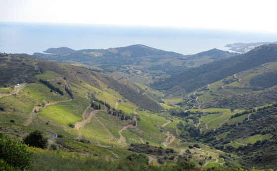 Vallon de Cosprons