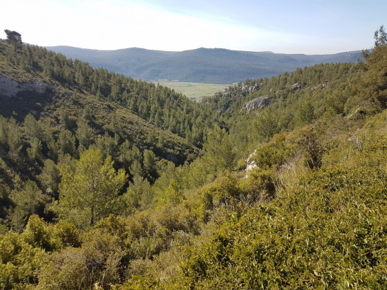 Vallon de Julie