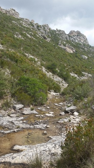 Vallon de la Barasse