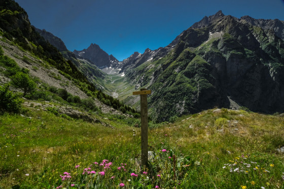 Vallon de la Bonne avec l\'Olan en toile de fond