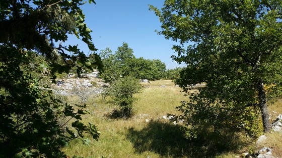 Vallon de la Sine