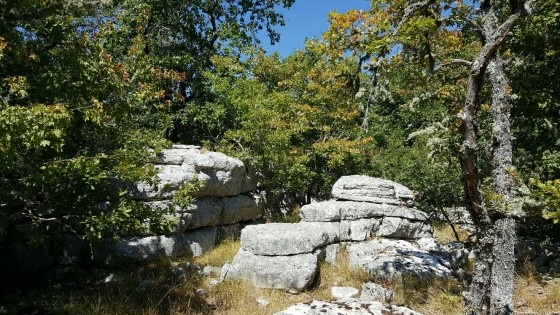 Vallon de la Sine