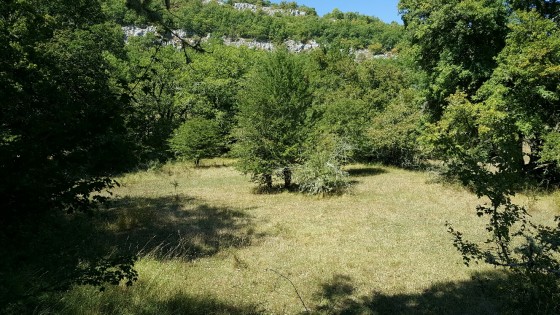 Vallon de la Sine