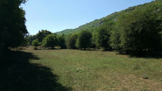 Vallon de la Sine
