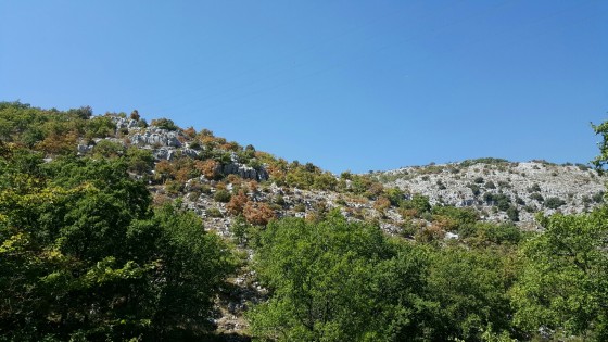 Vallon de la Sine