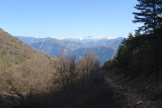 Vallon de la Sine