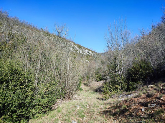 Vallon de Peissonnier