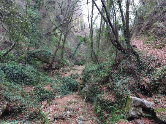 Vallon de Porquier