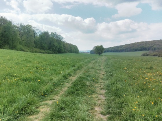 Vallon de Salival
