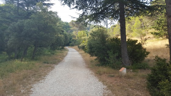 Vallon de St Clerg