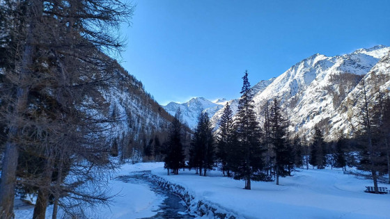 Vallon de Valnontey