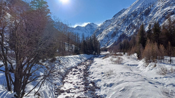 Vallon de Valnontey
