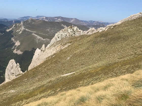 Vallon des Clausis