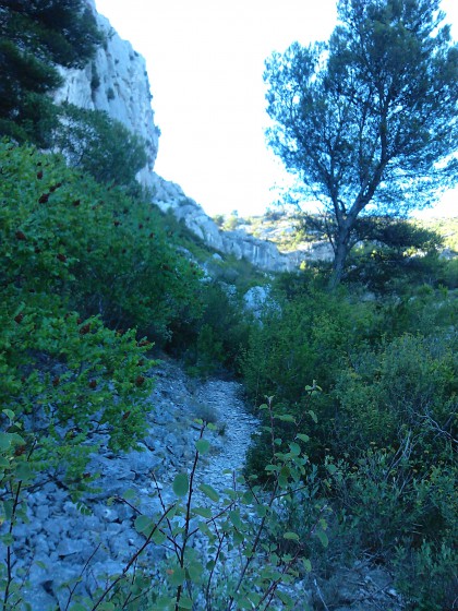 Vallon des Escourtines Haut