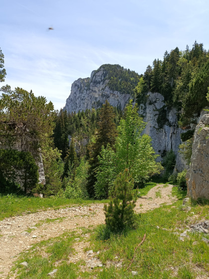 Vallon des Forges