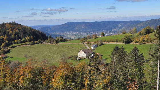 Vallon des Plateaux