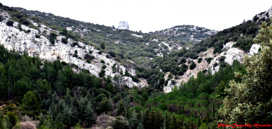 Vallon des Seignors
