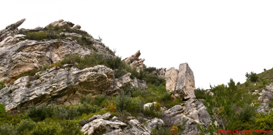 Vallon des Seignors