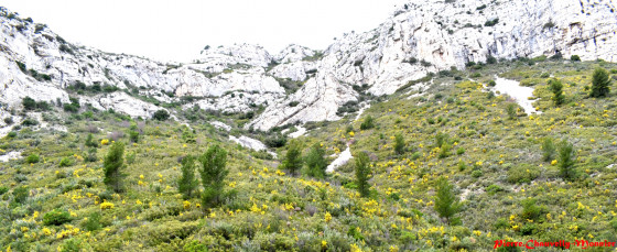 Vallon des Seignors