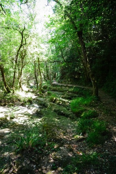 Vallon du Bruguet